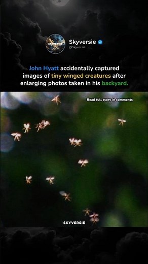 John Hyatt Accidentally Captures Real Fairies on Camera. Real or fake?