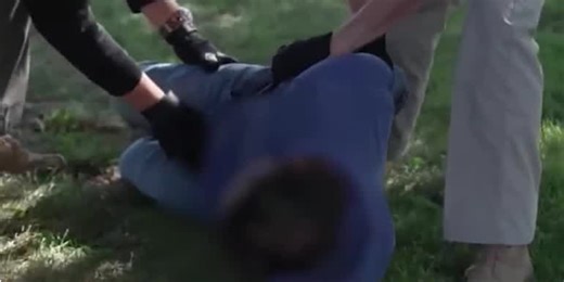 Experts weigh in on what federal agents can do during immigration sweeps