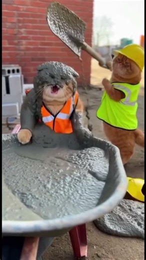 Abriu uma VAGA DE EMPREGO! #shorts #memes #funny