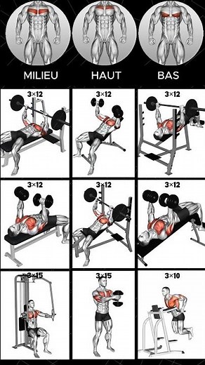 Musculation Pectoraux 🔥 9 Exercices Essentiels #exercicespectoraux #pecs #entrainementpectoraux