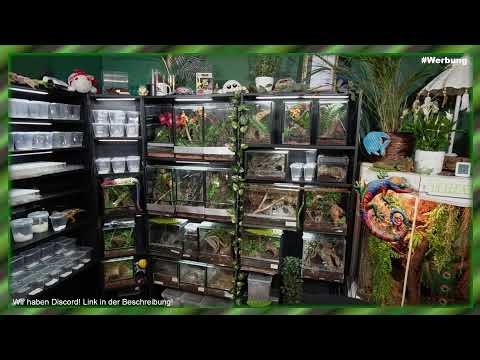 Börsenvorbereitung Frankfurt 04.04.2026