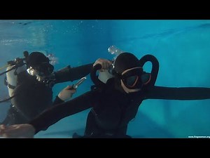 The first 5 videos of my "Project F" [Trailer]