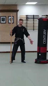 Bojutsu - striking practice on a target