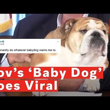 Watch: Governor's Pooch 'Baby Dog' Encourages West Virginians To Get Vaccinated