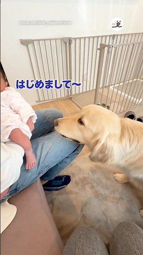 My dog was hesitant at first, but... | PECO