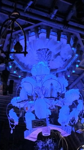 POV: Walt Disney's Enchanted Tiki Room Silver Lining in 4K