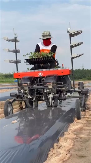 Kubota single row vegetable transplanter | Denraks Machinery
