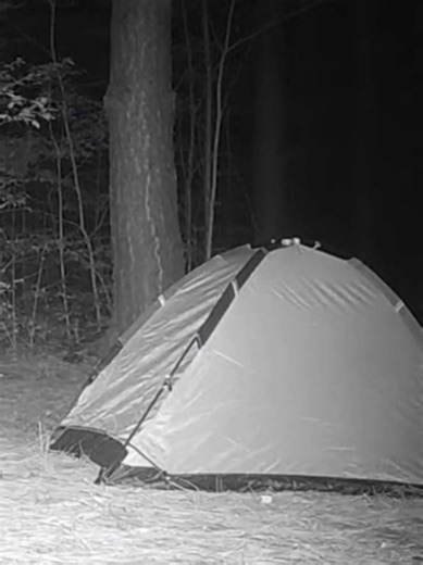 What Was That Near My Tent? #aihorror #aishorts #bytefright #scary #horror #creepytok #horrortok #dontlookaway #caughtoncamera #fyp #nightvision #nightcam #trailcam #caught #cryptid #alien #campinglife #tent #forest