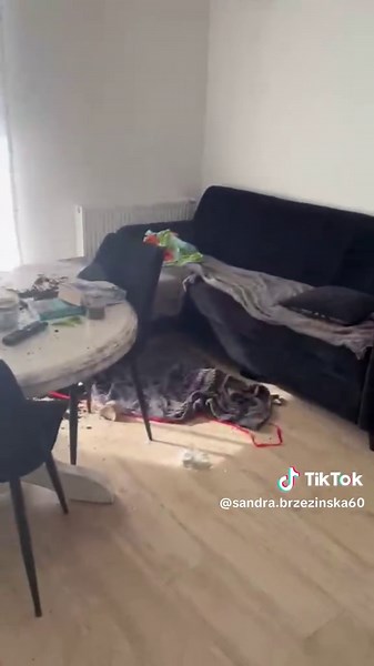 Funny Dog Tricks That Make You Smile