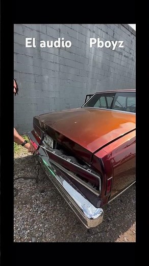 Box Chevy trunk beating #elaudio #pboyz #bass #carudio #boxchevy