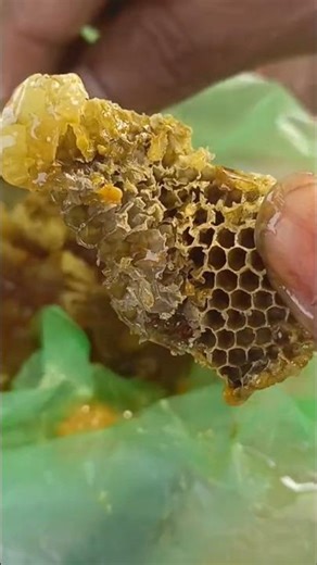 100% pure honey #honey #honeybee