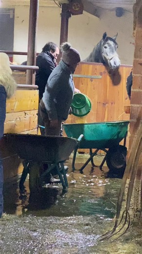 Celebrate New Year's at Pferdehof Bernloch