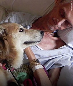 774K views · 17K reactions | A dying homeless man is separated from his only family member – and his final wish is to see her one last time...  | We Love Animals | Facebook