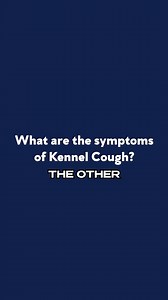 How Kennel Cough Spreads and Ways to Prevent It #kennelcough #prevention | Dan's Pet Care | Facebook