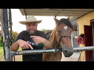 Que debe tener un #caballo al momento de comprarlo? Tenga mucho cuidado...