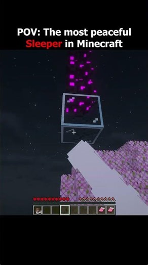 POV: The most peaceful Sleeper in Minecraft💀