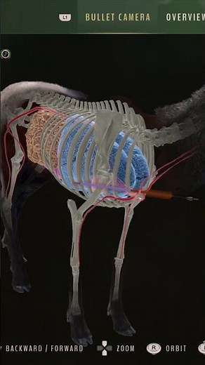 Rocky Mountain Elk HEART SHOT With the BOW - Way Of The Hunter #wayofthehunter #gaming #shorts #woth