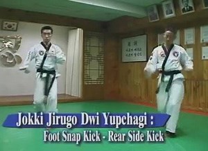 Hapkido | Hapkido