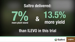 BETTER STANDS & MORE ROI? Saltro helps deliver BOTH over competitors like ILEVO. See what your soybeans could look like in 2024 if you upgrade to Saltro for superior SDS protection! https://bit.ly/3t4Ab9K | Syngenta US