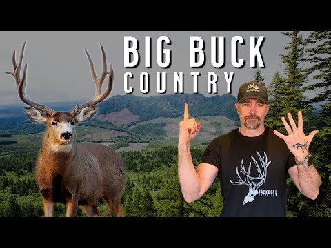 How to Read a MULE DEER Basin in 5 Minutes | Find Public Land Bucks Fast