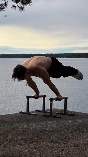 Calisthenics_Alien on TikTok
