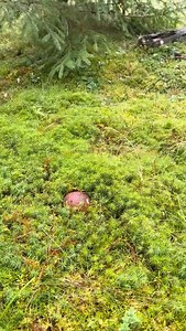 402 reactions · 3 comments | What do you really see when you walk...