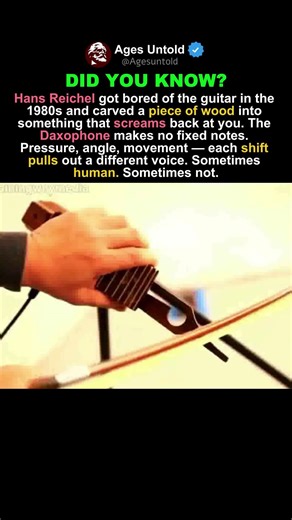 WOOD THAT SCREAMS BACK