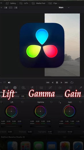 Amit on Instagram: "DaVinci Resolve Lift Gama Gain"