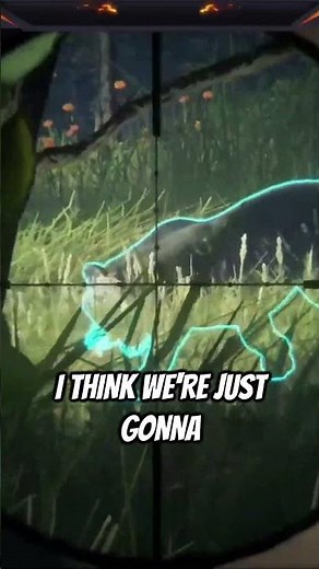 RARE Tiger Stalks & Kills Me! #thehuntercotw #thehunter #cotw