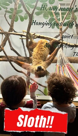 7.4K views · 69 reactions | Come take a mini tour of Ocoee Riverside Farm! Book your adventure here!https://ocoeeriversidefarm.com/ | Ocoee Riverside Farm | Facebook