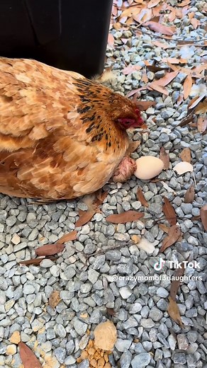 Jennifer the Crazy Mom on TikTok