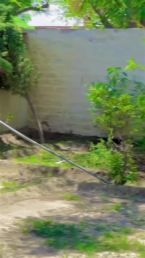 ‼️ARROHI‼️ on TikTok