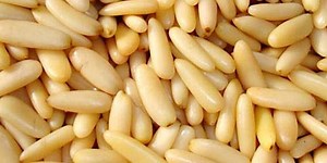 Here Is Why You Should Add Pine Nuts To Your Diet This Winter Season | Herzindagi