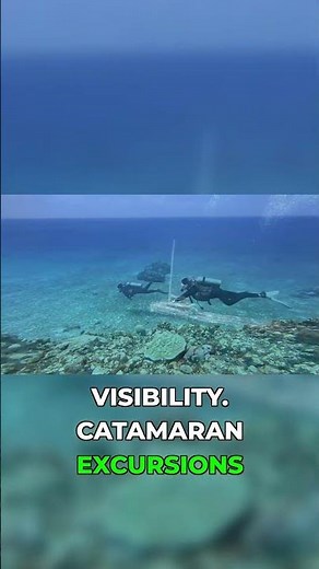 Cozumel Snorkeling: Catamaran to the Reefs!