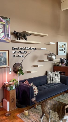 DIY Cat Shelves: Creative IKEA Hack Ideas for Cats