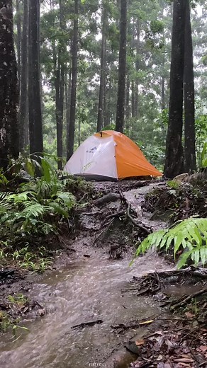 Sleep well✌️ #camping #campinginheavyrain #campingintherain #campingintherainstorm #heavyrain #heavyraincamping #lighting #notsolocamping #rainstorm #solocamping #tent #vibeshujan #hujanderas #campinglife