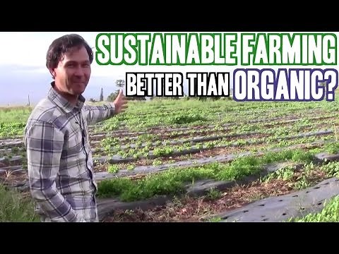 How Sustainable Farming Can Be Better than Organic Agriculture
