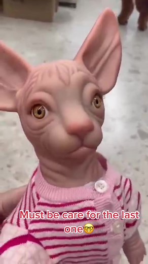 Minofox store on TikTok