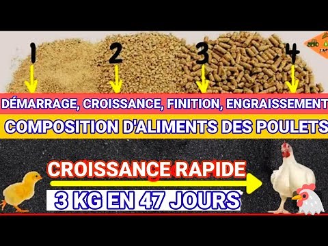 EXAMPLE OF FEED COMPOSITION FOR CHICKEN FEEDS (STARTER, GROWER, FINISHER AND FATTENING)