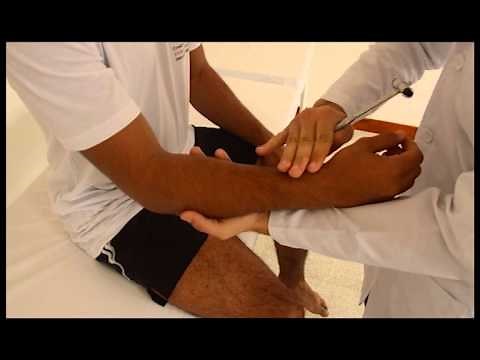 Brachioradialis Reflex
