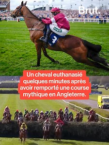 Un cheval euthanasié quelques minutes après avoir remporté une course mythique en Angleterre. #horse #cheval #course