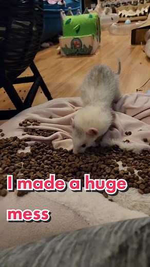 Huge Mess Made with Nugget and Mochi