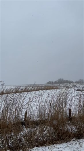 Dagebüll Tourismus on Instagram: "❄️ Und wieder begrüßt uns neuer Schnee. So viel davon – und vor allem so lange – das haben wir hier in Nordfriesland seit Jahren nicht mehr erlebt. Schneebedeckte Felder in der Marsch, Eisflächen im Wattenmeer … eine stille, weiße Welt, die fast ein bisschen aus der Zeit gefallen wirkt. Die Älteren unter uns wissen: Früher waren solche Winter ganz normal. Wochenlang Schnee. Klare, kalte Tage. Rodeln vom Deich, Schlittschuhlaufen auf dem Bottschlotter See – das g
