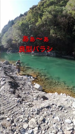 ヤマメ解禁日！ #ヤマメ釣り