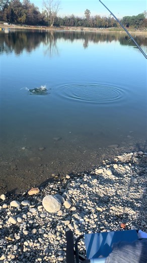 #Peru🇵🇪❤️Italia🇮🇹❤️ Tarde de Pesca 🐟🐟con mi amor ❤️❤️💫✨👏🏻👏🏻