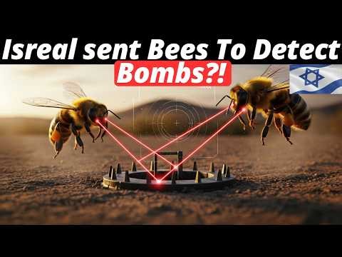 Israel Is sending Bees To Stop Explosions