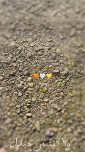 Intissar Saber 🇹🇳 🇩🇪 (@intissar_saber)’s videos with son original - Intissar Saber 🇹🇳 🇩🇪