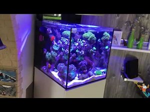 Cubicus Teil 1.5 Meerwasseraquarium