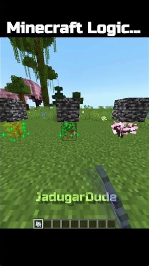 Minecraft Logic That Makes ZERO Sense 🤯 #minecraft #minecraftshorts #viral