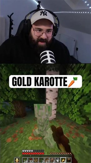 MINECRAFT : ICH KÄMPFE MIT EINER KAROTTE 😫 #shorts